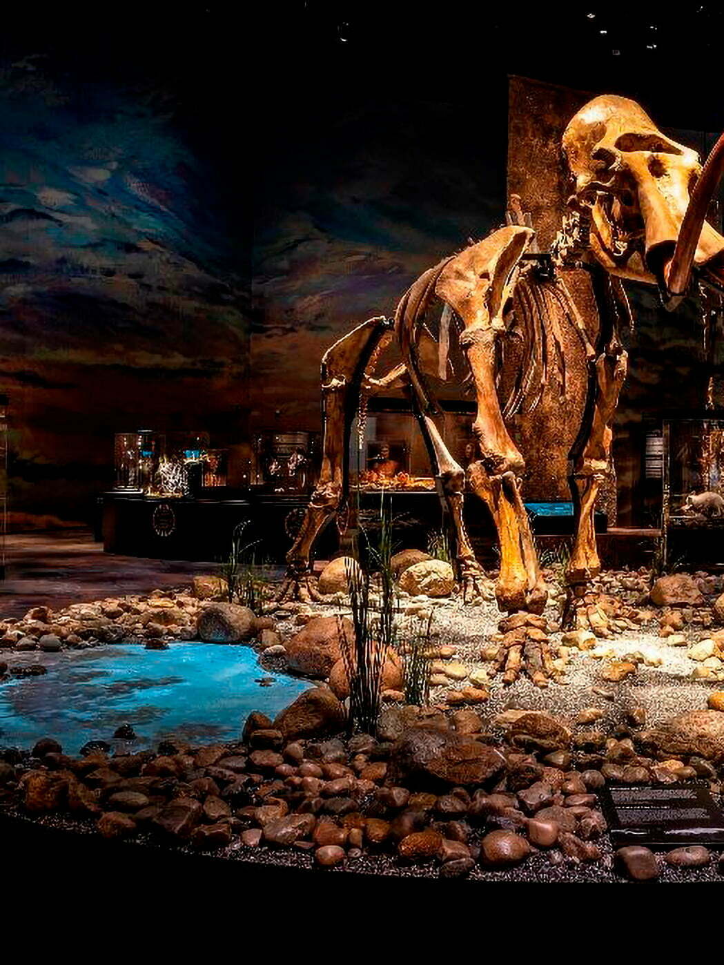 moesgaard museum udstilling