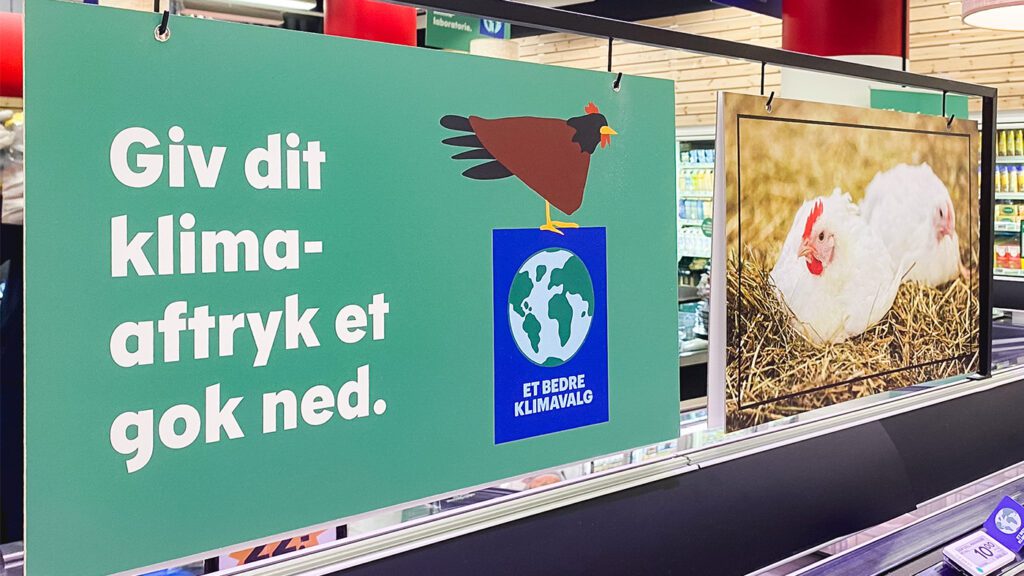 kylling skilt klima kvickly